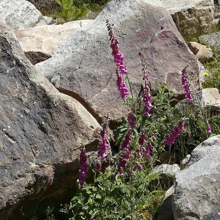 Mayas 4* Quintanar de la Sierra