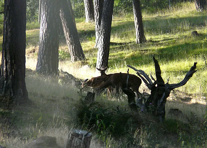 Mayas 4* Quintanar de la Sierra